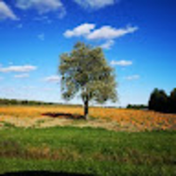 Meet your Posher, Margaret - Picture 1 of 1